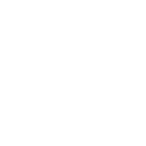 Virgin icon